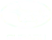 subaru logo 1.png